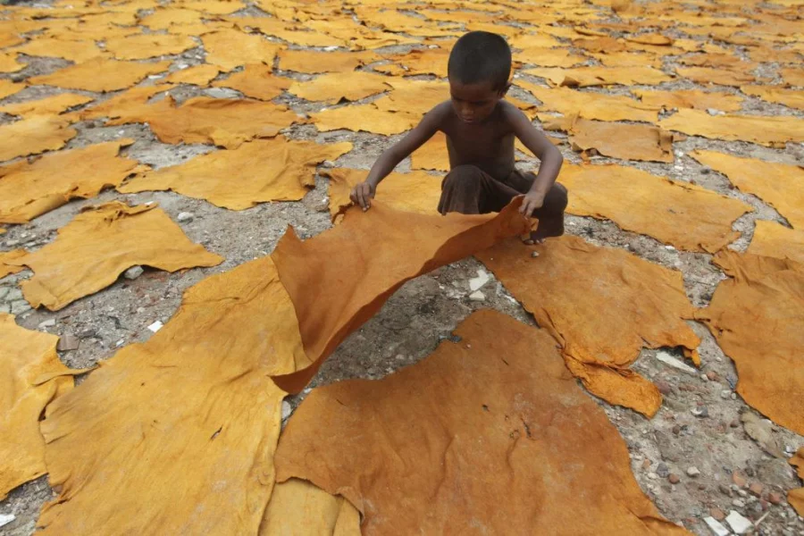 With a notable lack of schools in Hazaribagh, Babul is relegated to helping out his mother in doing unhygienic and hazardous tannery workNashirul Islam