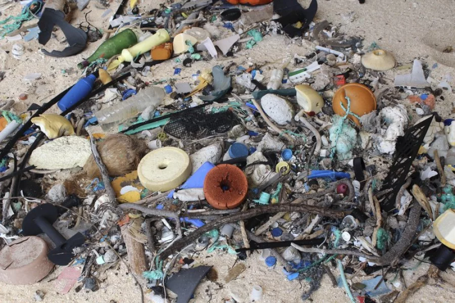 In this 2015 photo provided by Jennifer Lavers, plastic debris is strewn on the beach on Henderson Island. When researchers traveled to the tiny, uninhabited island in the middle of the Pacific Ocean, they were astonished to find an estimated 38 million pieces of trash washed up on the beaches. (Jennifer Lavers via AP) 