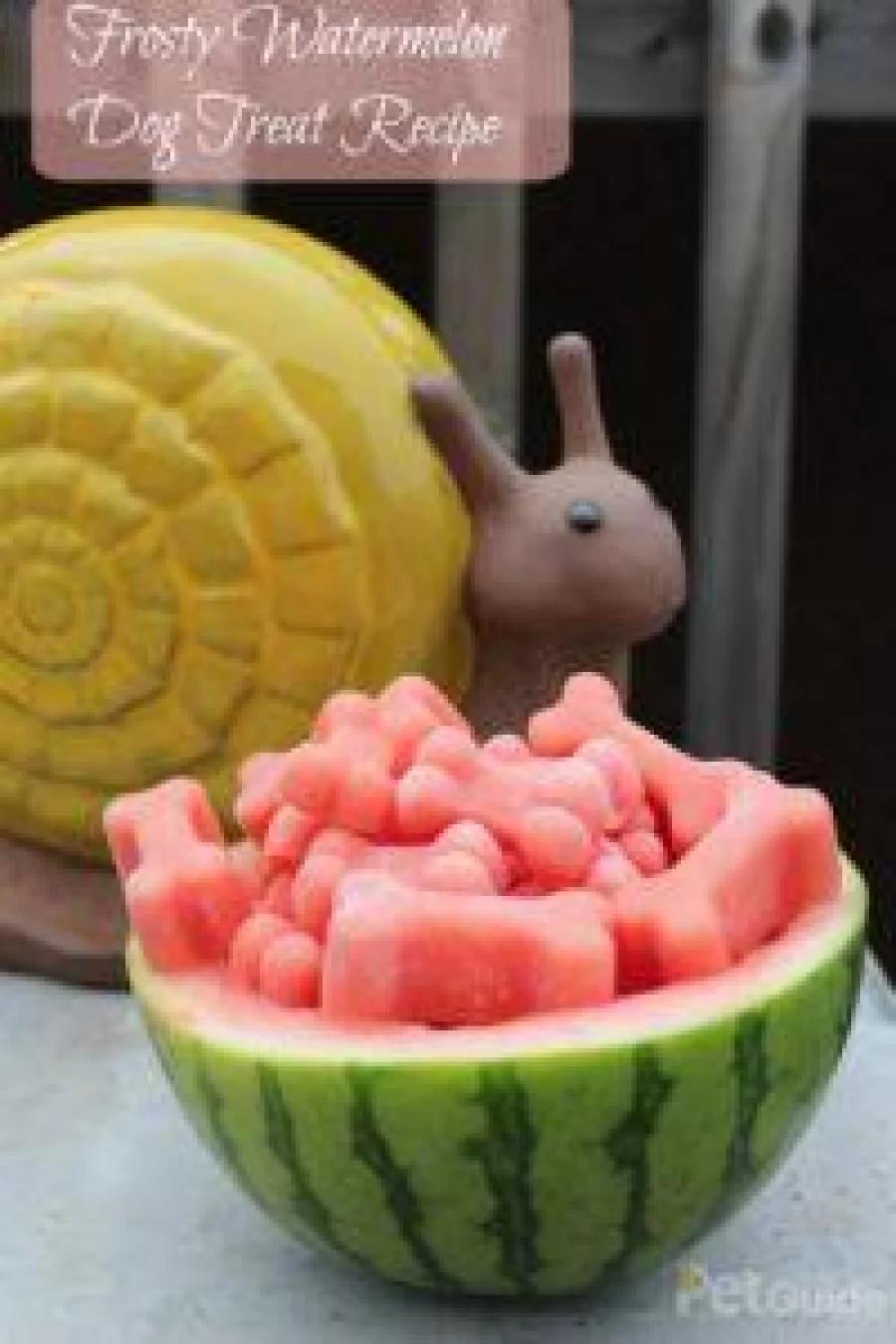 Frosty-Watermelon-Dog-Treat-Recipe-pin