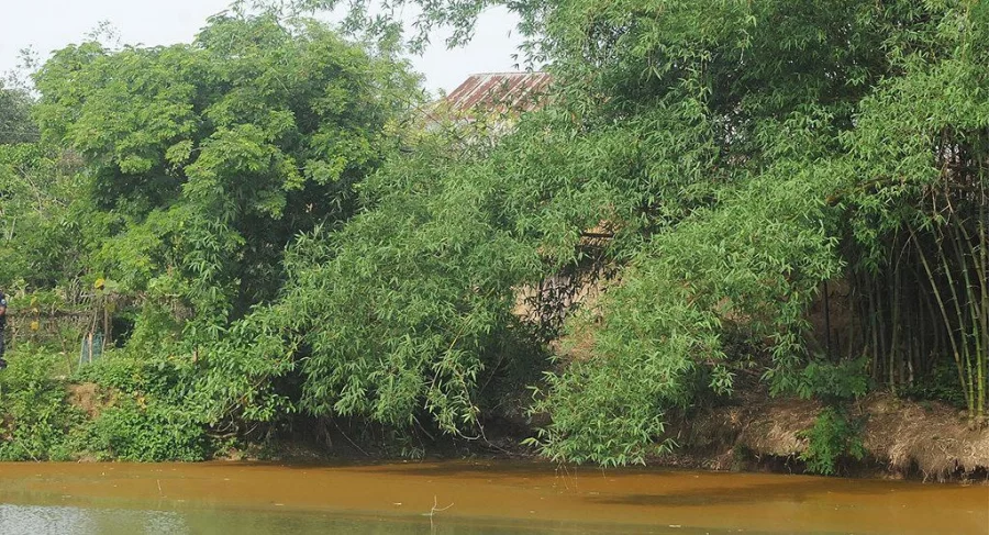The suspected militant den (partially obscured by trees) in Tanore upazila of Rajshahi, from where eight of a family were detained on June 12, 2017 Azahar Uddin/Dhaka Tribune