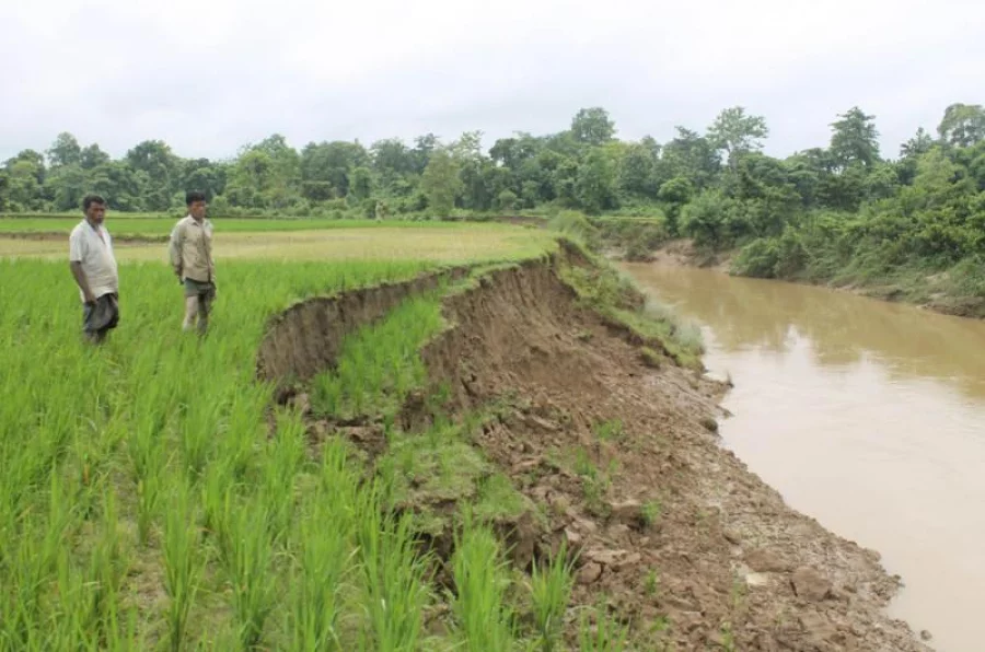 Many agricultural lands have been affected by the erosion of Feni river