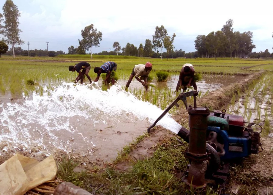 Some affluent farmers are irrigating their land by diesel-run shallow machines, which is still far expensive for them Dhaka Tribune