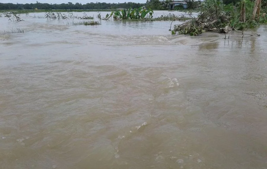 The rivers gradually swell, there is no malice or menace in what they do, merely a force of nature consuming everything Dhaka Tribune