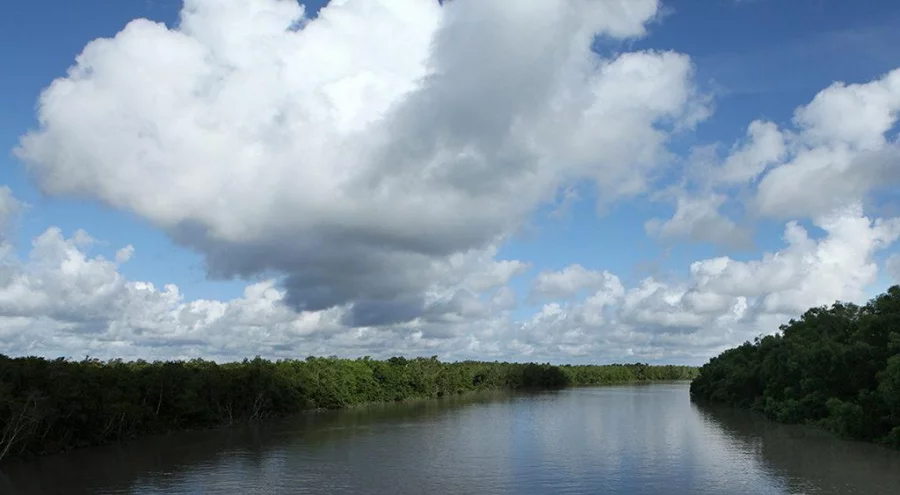 The Betmore River near Tambulbunia in the Sundarbans Syed Zakir Hossain/Dhaka Tribune