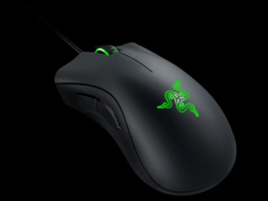 mouse