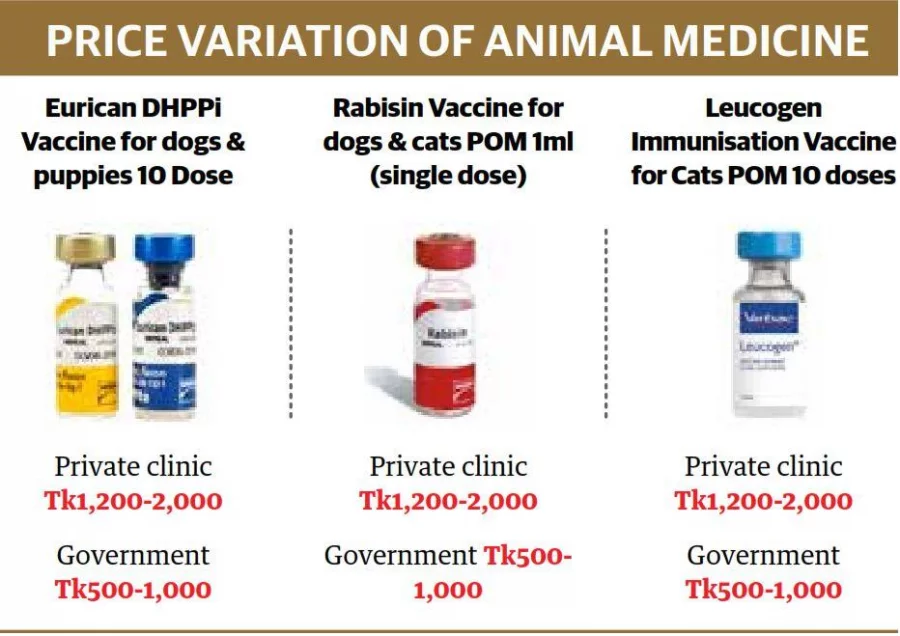 Do Dhaka vets prescribe proper pet medicine?