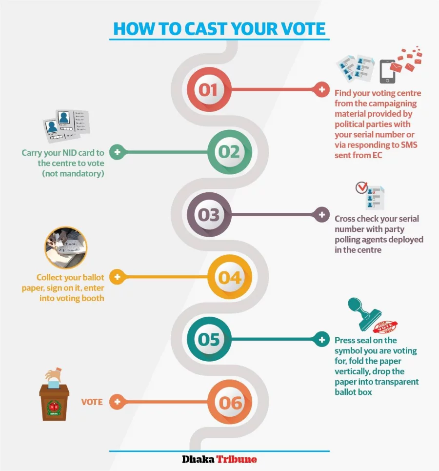 Infographic: How to cast your vote