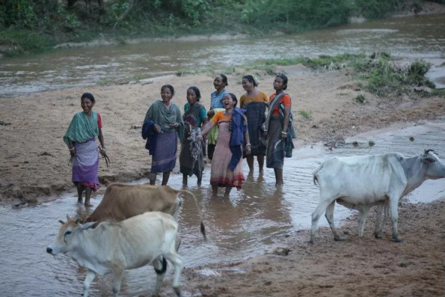 The unique vulnerability indigenous women