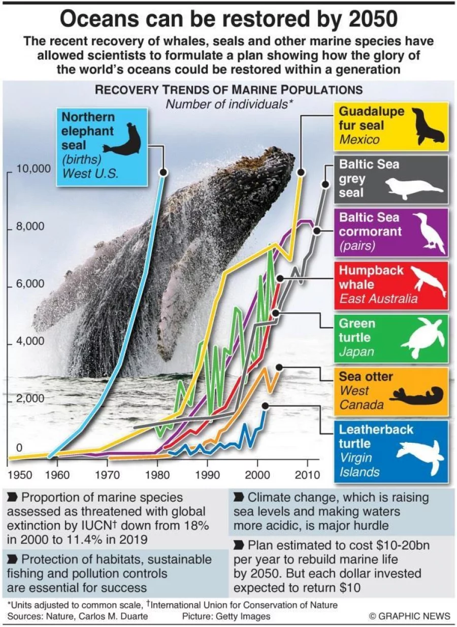 Infographic: Oceans can be restored by 2050