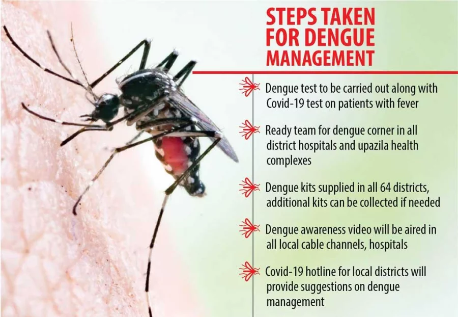 A looming dengue outbreak in the midst of a pandemic?