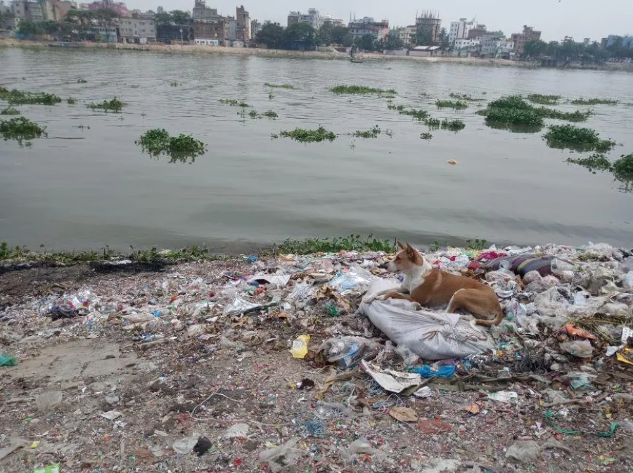 Yosh tajribasiz odamlar uyda jinsiy aloqada bolishadi