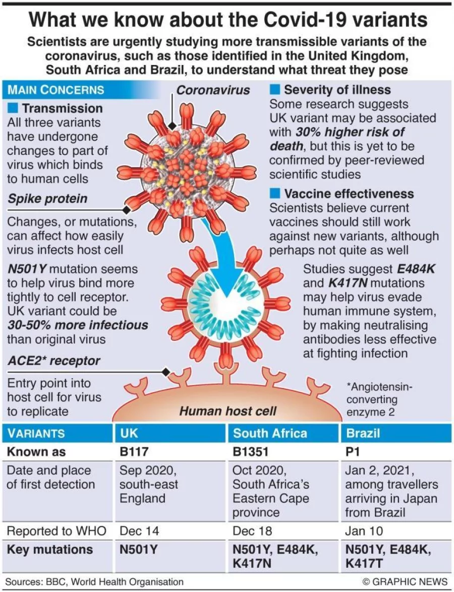 Infographic: How worrying are the new coronavirus variants