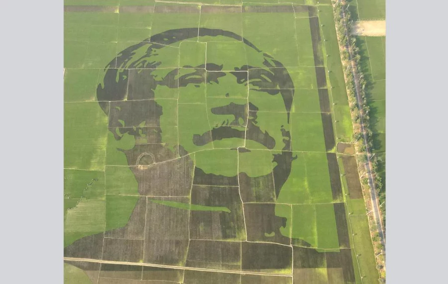 Bangabandhu crop-field mosaic breaks Guinness World Records