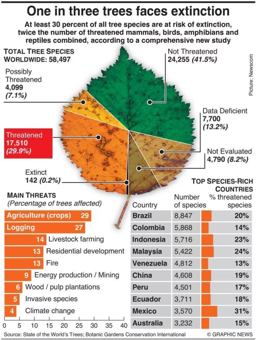 Infographic: One In Three Trees Faces Extinction