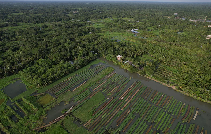 As seas rise, farmers revive floating farms