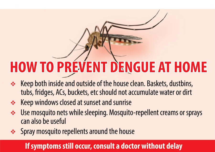 What to eat during dengue infection?